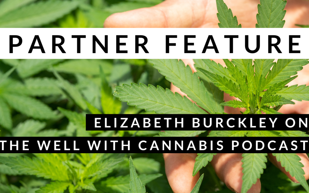AZ Partner, Elizabeth,  Podcast Appearance