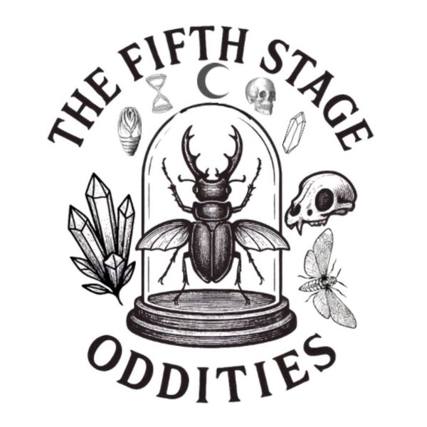 Dominique Cloutier | The Fifth Stage Oddities